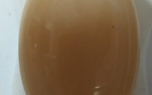 Large Light Brown Resin Ring
